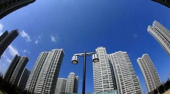 新政实施后的市场反应