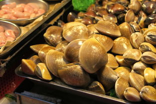 海鲜控必看！揭秘独家金枪鱼烹饪秘籍，让你秒变餐桌达人