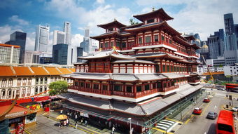揭秘少林寺门票背后的经济与文化考量，门票价格的演变与游客体验的平衡