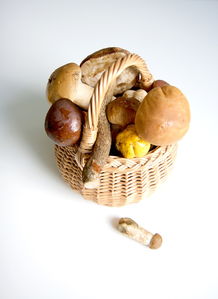 探秘蘑菇烹饪艺术，从野生到餐桌的美味探索
