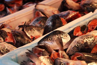 Wuhan Delights:A Culinary Journey Through the Heart of Hubei