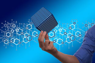 武汉硒姑娘，舌尖上的硒元素，健康生活的新风尚