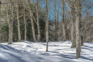探秘西岭雪山，雪域仙境的壮丽画卷