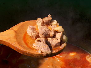 豆腐的美味魔术，烹饪技巧与创意搭配指南