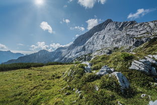 探索自然的乐园，野山坡旅游的魅力与指南