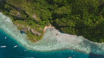 探秘云端仙境，深度解析梵净山旅游攻略