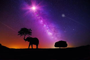 围观七星连珠，一场宇宙级的视觉盛宴