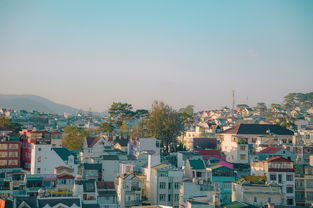 武汉美食地图，探索江城的味蕾之旅