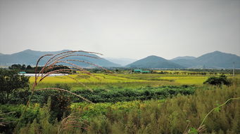 漫步西湖，探秘杭州，一场穿越古今的旅行