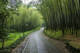 杭州，诗意栖居的江南水乡