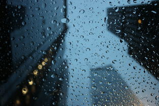 今日气象，晴雨表下的日常生活指南