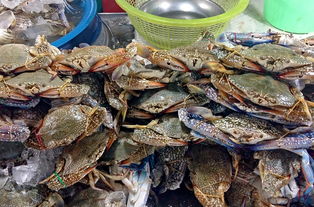 杭州著名美食景点介绍，品味江南水乡的饕餮之旅