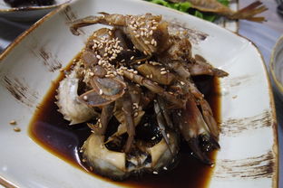 潮汕旅游指南，探索岭南文化与美食的完美融合