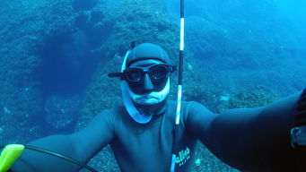 深海狂鲨1，海洋深处的惊心动魄之旅