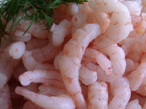 杭州美食探秘，从西湖醋鱼到龙井虾仁，品味江南水乡的味觉盛宴