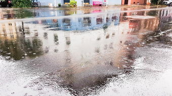 清明时节雨纷纷，高速免费行更顺—了解清明高速免费通行政策
