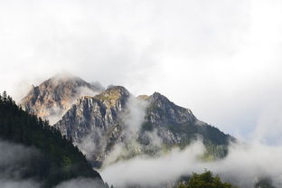 清明时节雨纷纷，探索清明节的历史与现代意义