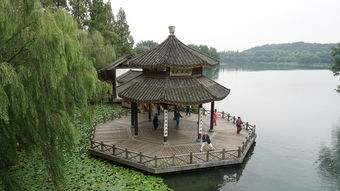 江浙沪美食之旅，味蕾上的江南水乡