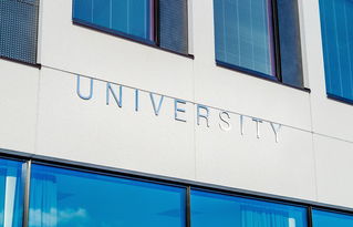 清华大学疫情最新动态，防控措施与校园生活