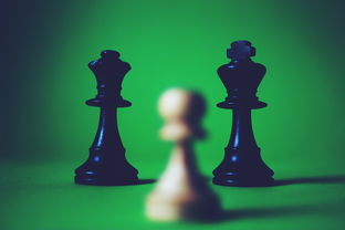 杀手5，赦免深度解析，潜行艺术与游戏设计的完美融合