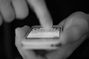 味蕾的指南针，2023年美食类APP排名大揭秘