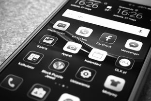 探索最佳学做菜APP，提升厨艺的智能助手