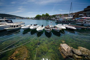杭州旅游住宿指南，轻松找到你的西湖梦