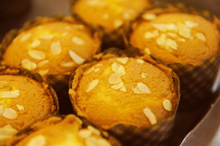 美食的诱惑，如何用文案和图片素材抓住味蕾