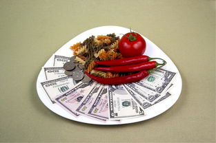 味蕾上的诗篇，30字美食作文的艺术