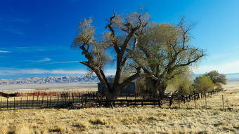 今日新闻报道视频，洞察世界动态的窗口