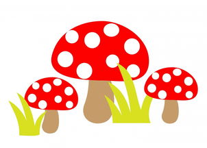 美食简笔画，用可爱笔触捕捉味蕾上的艺术