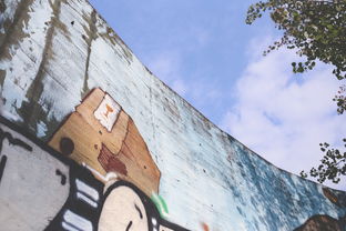 味蕾之旅，探索隐藏在街头巷尾的十大美食