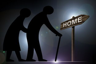 九酷音乐盒，你的音乐生活新伙伴