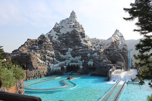 探秘山兔的乐园，全球山兔分布与生态保护