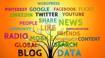 掌握英语新闻报道格式，专业写作技巧与实例分析