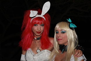 梦幻群侠传1，穿越时空的英雄之旅