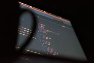 探索新浪新闻网首页下载官网，如何高效获取新闻资讯