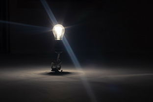 阳光之下，揭秘人性光辉与阴影的小说之旅