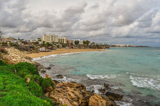 洛克王国的守护者，雷欧的传奇故事