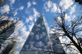 修仙模拟器，揭秘虚拟世界中的修行之旅