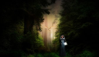 深海巨怪，探索大王具足虫的神秘世界