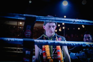 人再囧途之泰囧，票房奇迹背后的故事