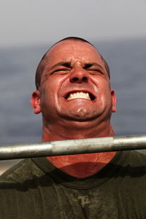 行尸走肉第三季，生存、人性与新希望的交织