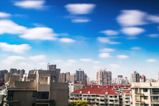 重庆今日新闻头条，城市发展与民生焦点