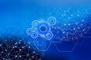 探索神圣计划客户端，解锁数字世界的神秘面纱