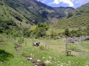 今日新闻速览，10条最新动态概览