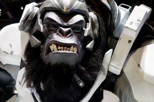 格斗游戏的魅力，精选推荐与深入解析