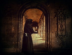 红警共和国之辉，回顾经典，探索游戏背后的历史与文化