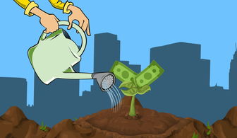 皇后成长计划2，从平民到皇后的华丽蜕变