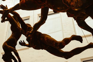 剑侠客渡劫，一段奇幻旅程的启示